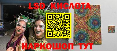 стафф Гусев