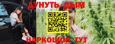 стафф Гусев