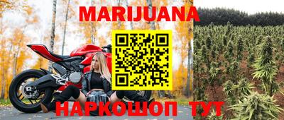 стафф Гусев