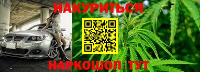 шишки Тверь