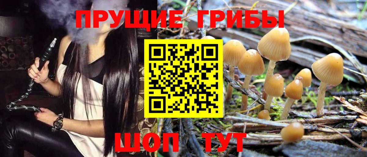 Галлюциногенные грибы Psilocybe  Вход с VPN  Мелеуз 